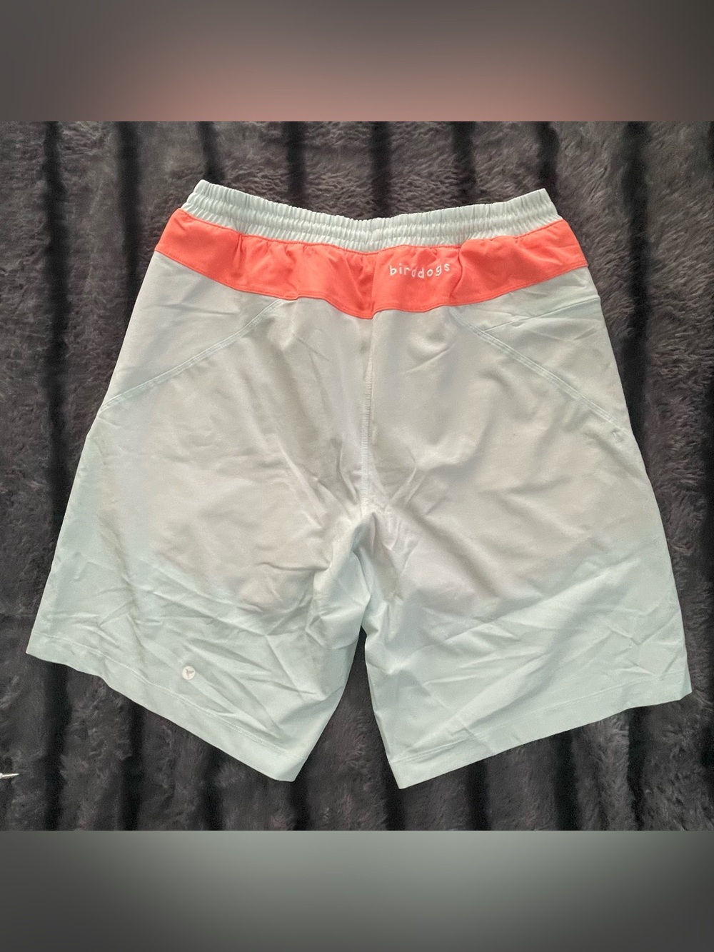 Birddogs Two-Tone Shorts — Light Blue with Coral Waistband - Picture 3 of 4